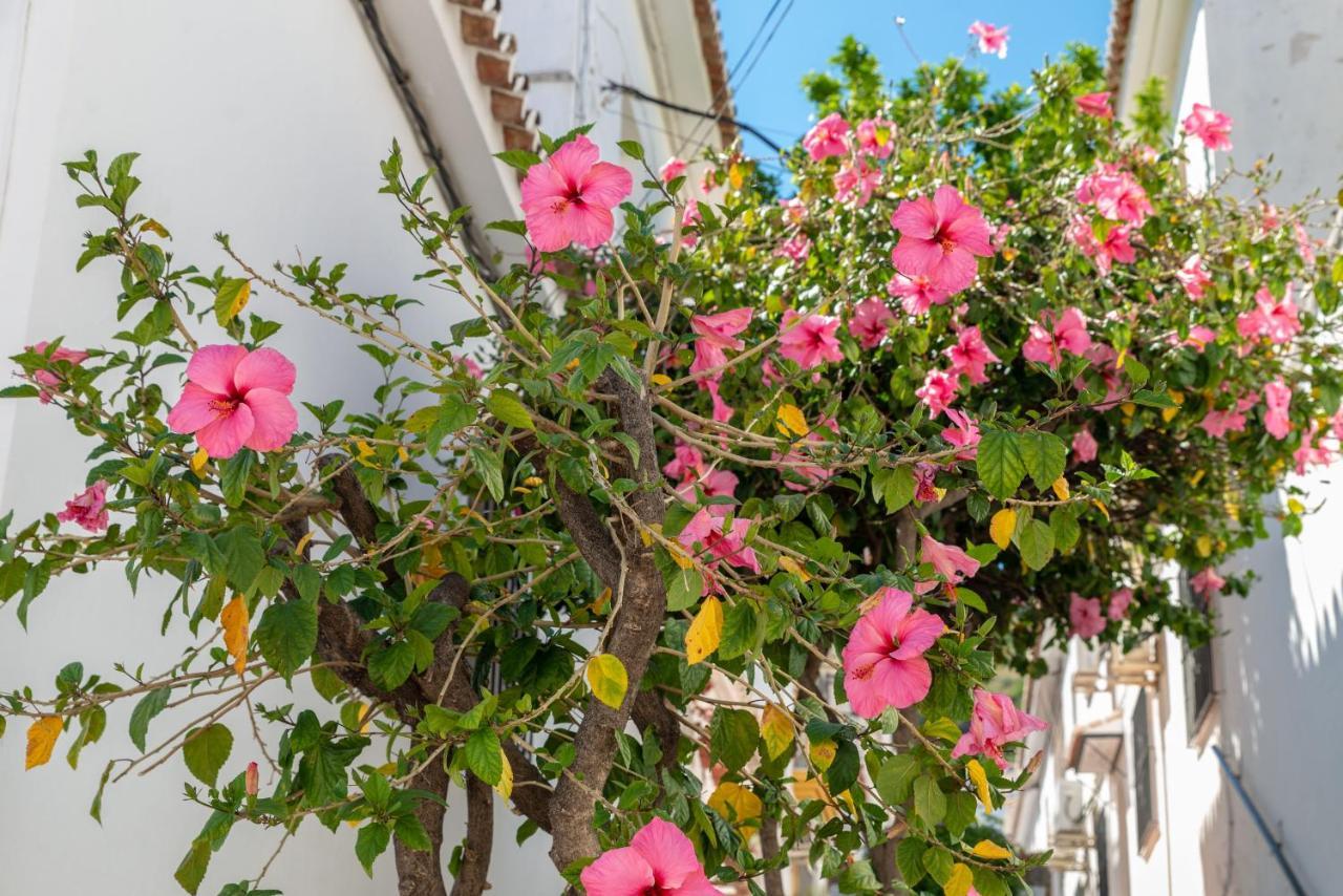 Lovely Cozy 2-Bedroom Residential Home With Patio Benalmádena Εξωτερικό φωτογραφία